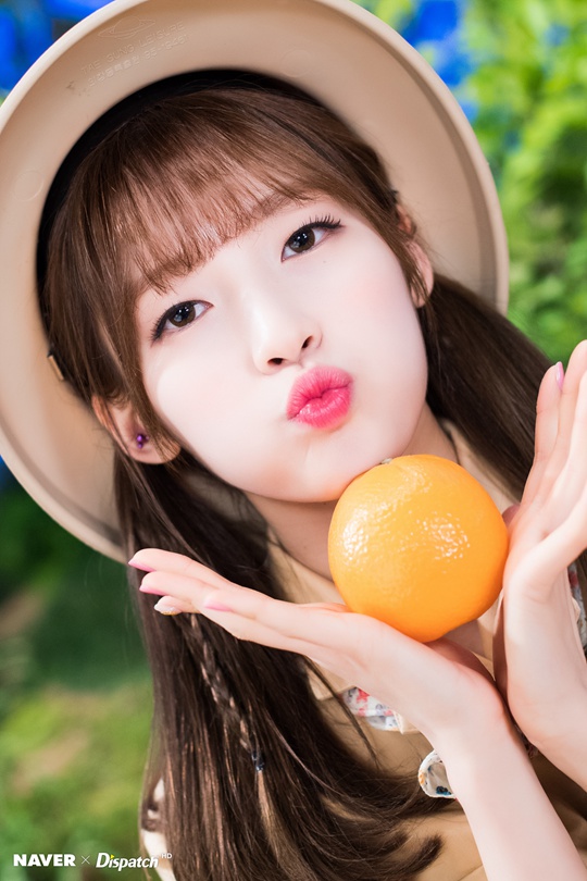 OH MY GIRL ށV԰