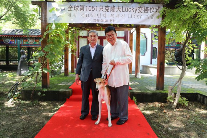 韓國“克隆之父”黃禹錫教授向察哈爾基金會交接全球第1051隻克隆犬Lucky