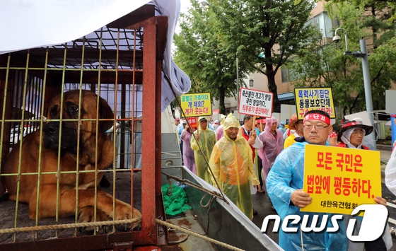 韓國狗肉協會冒雨游行 抗議將狗排除在家畜之外【5】