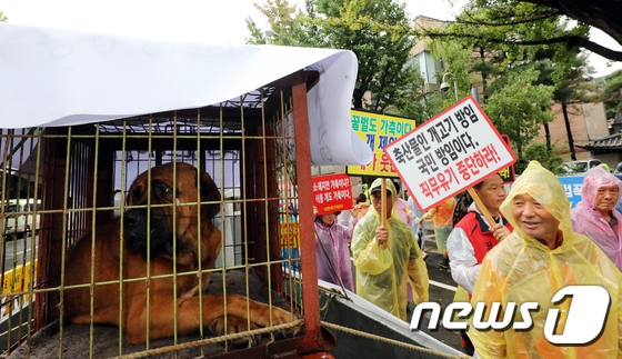韓國狗肉協會冒雨游行 抗議將狗排除在家畜之外【6】