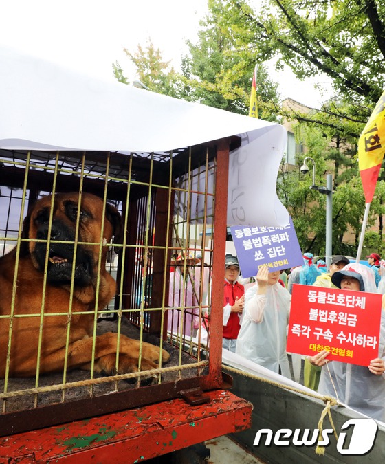 韓國狗肉協會冒雨游行 抗議將狗排除在家畜之外