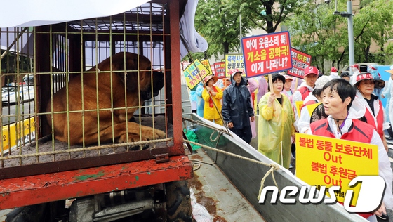 韓國狗肉協會冒雨游行 抗議將狗排除在家畜之外【4】