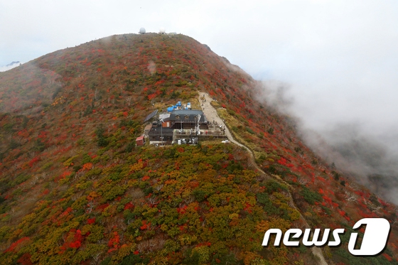 韓國雪岳山“楓”景獨好 蔚為壯觀【組圖】