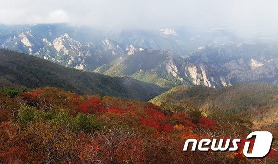 韓國雪岳山“楓”景獨好 蔚為壯觀【組圖】【21】