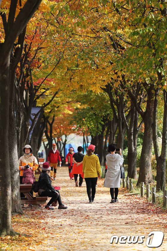 又到一年賞楓季！韓市民前往公園感受層林盡染