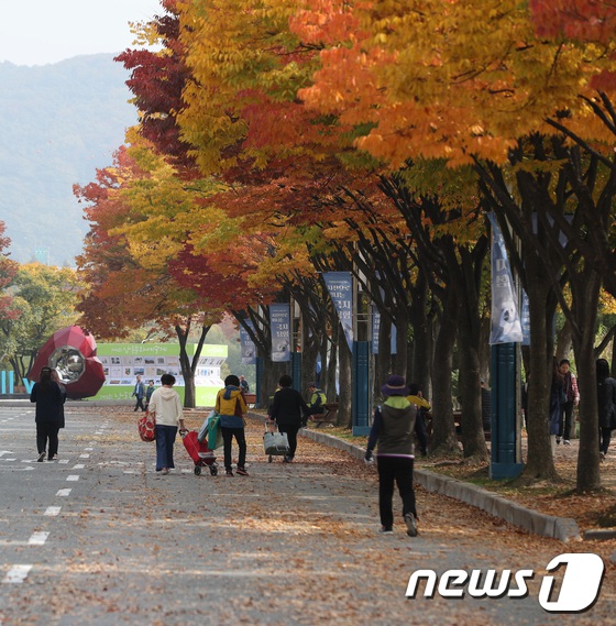 又到一年賞楓季！韓市民前往公園感受層林盡染【2】