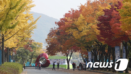 又到一年賞楓季！韓市民前往公園感受層林盡染【9】