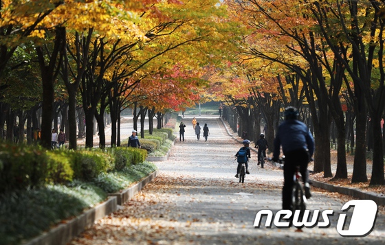 又到一年賞楓季！韓市民前往公園感受層林盡染【12】