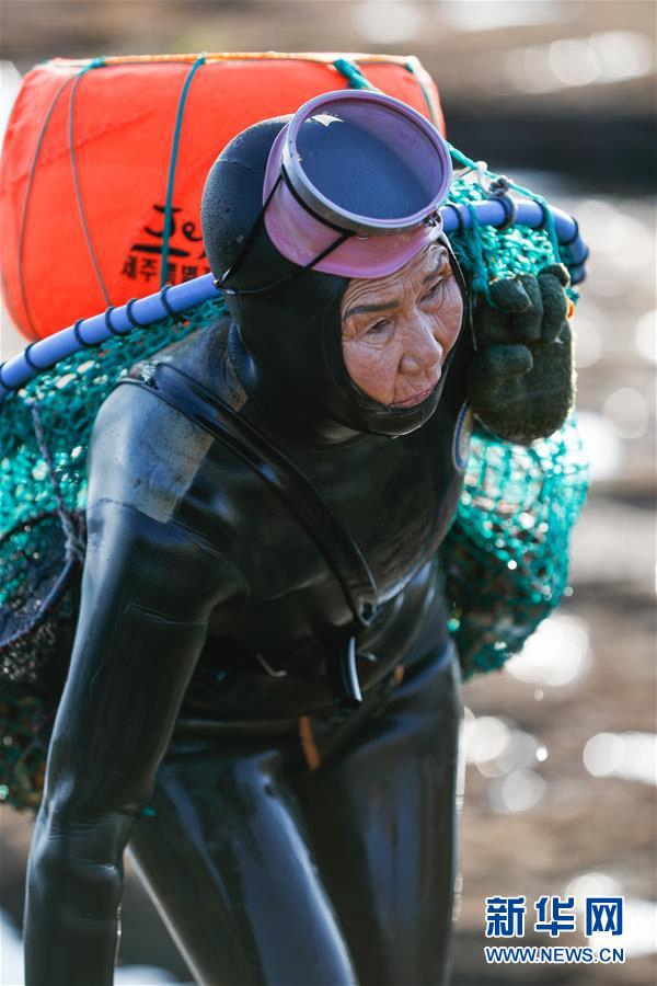 11月23日，一名海女在韓國濟州島的一處海岸附近結束作業后上岸。新華社記者 王婧嬙 攝