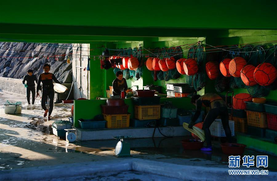 11月23日，海女們在韓國濟州島的一處海岸附近結束一天的作業准備回家。新華社記者 王婧嬙 攝