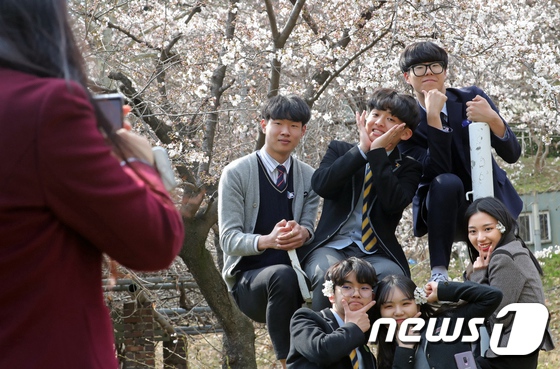 最美人間四月天 韓國櫻花樹“開滿”大學生【組圖】【2】