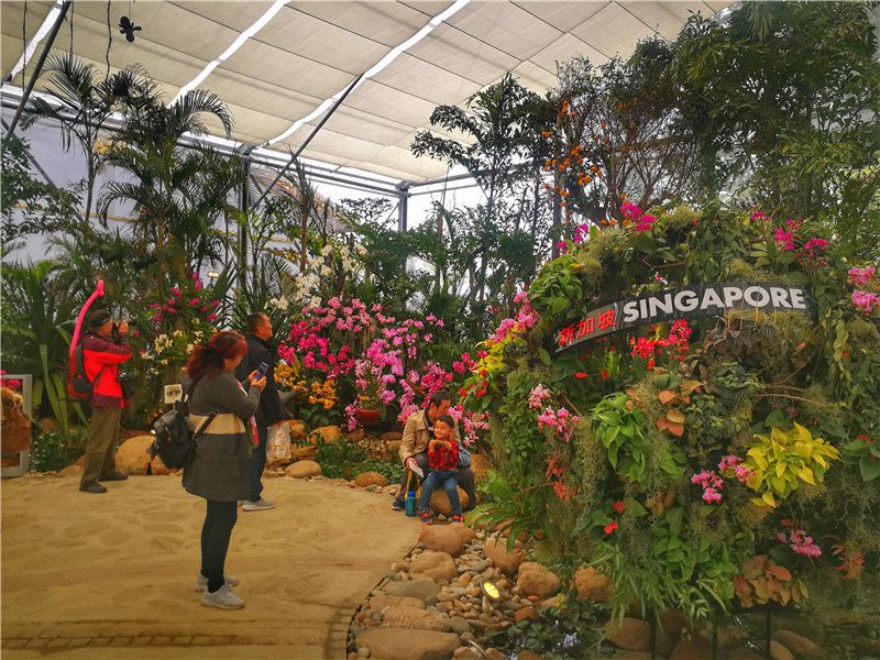 游客在新加坡園內拍照留念。吳三葉攝