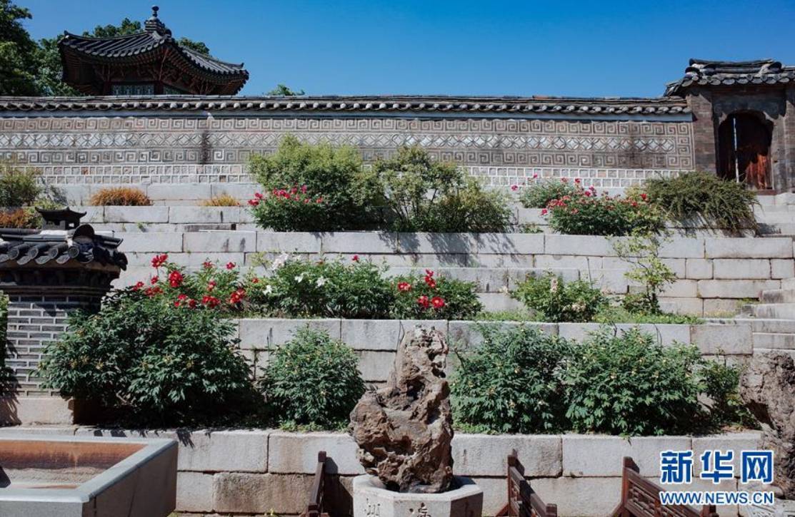 這是在韓國首爾昌德宮內拍攝的的園藝與盆景裝飾（2019年5月21日攝）。新華社記者 王婧嬙 攝
