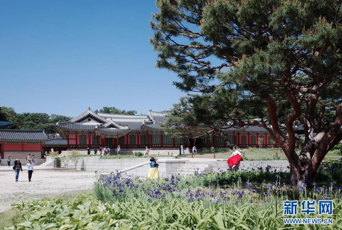 5月21日，身著傳統韓服的游客在韓國首爾昌德宮內游覽。 新華社記者 王婧嬙 攝