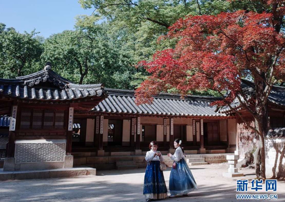 5月21日，身著傳統韓服的游客在韓國首爾昌德宮后苑內游覽。 新華社記者 王婧嬙 攝