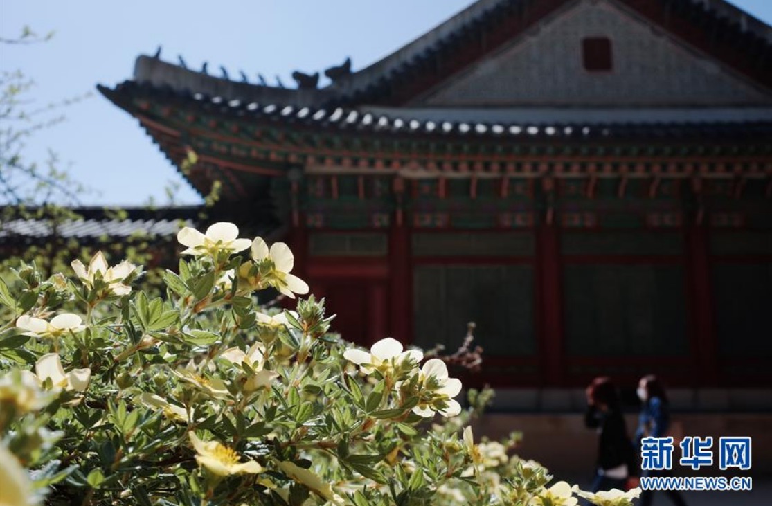 5月21日，游客在韓國首爾昌德宮內游覽。新華社記者 王婧嬙 攝