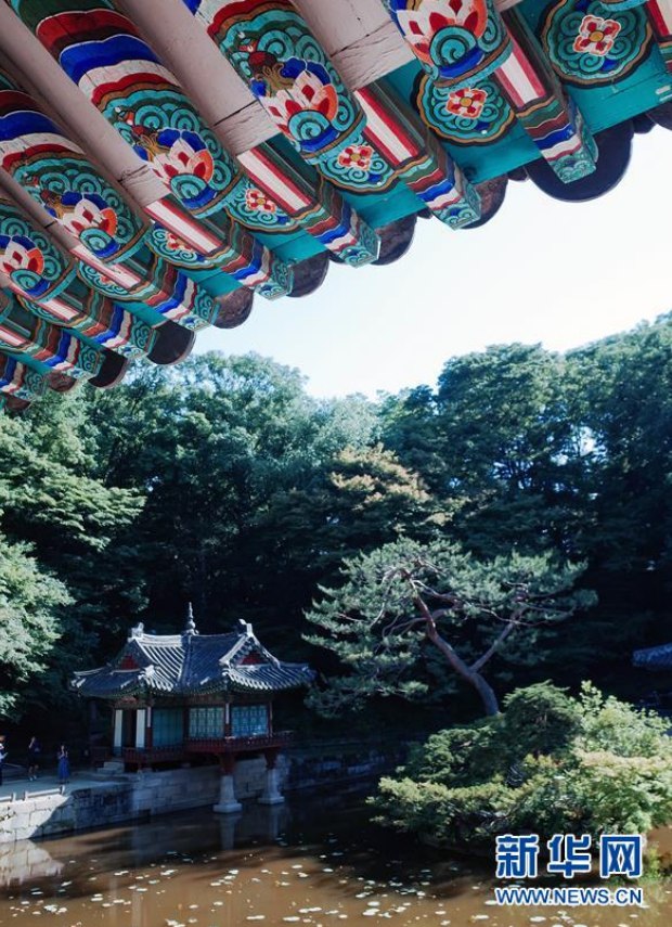 這是在韓國首爾昌德宮內拍攝的后苑內的芙蓉亭和芙蓉池（2019年5月21日攝）。新華社記者 王婧嬙 攝