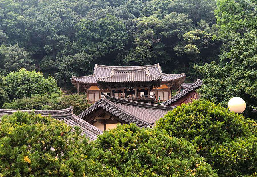 這是在韓國慶尚北道榮州市拍攝的浮石寺內一景（6月6日攝）。新華社記者 王婧嬙攝