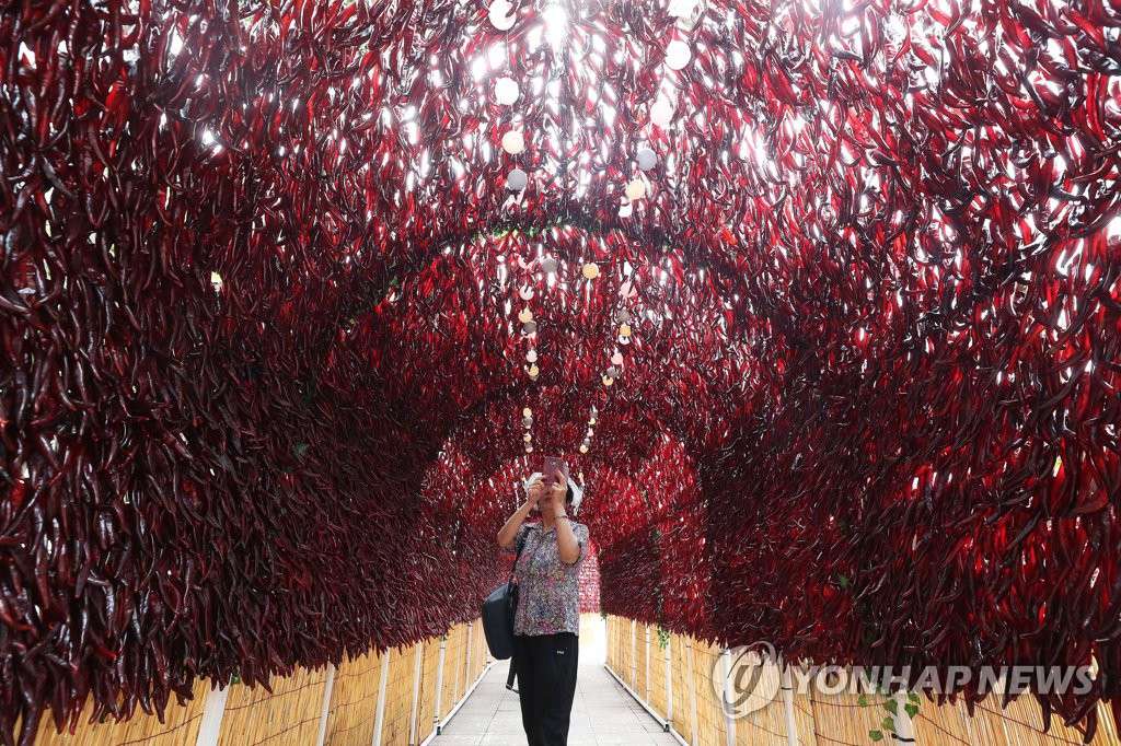 某市民站在“紅色隧道”下拍照。（圖片來源：韓聯社）