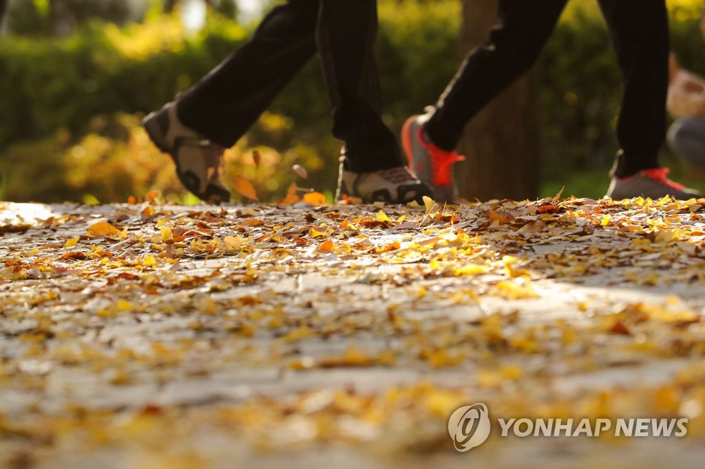4日在首爾城東區首爾林，韓國市民正在散步，聆聽著踩在落葉上窸窸窣窣的聲音。