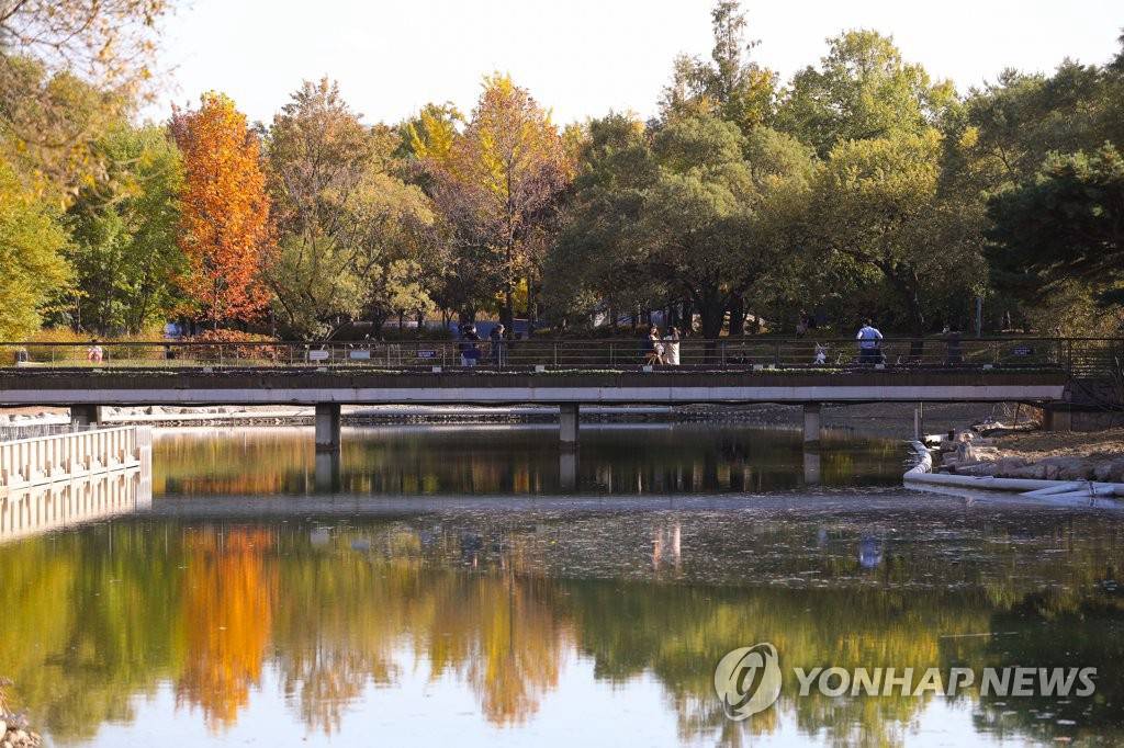 4日在首爾城東區首爾林，清澈的湖水倒映著色彩斑斕的楓葉林。