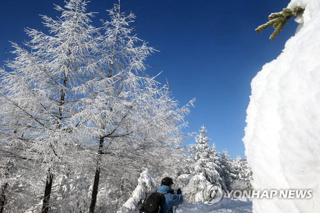 現實版“冰雪奇緣”在韓國江原道大關嶺上演【組圖】【2】