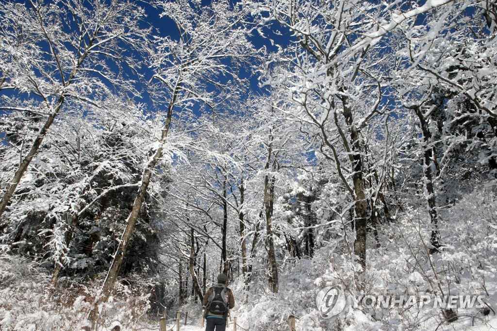 現實版“冰雪奇緣”在韓國江原道大關嶺上演【組圖】【6】