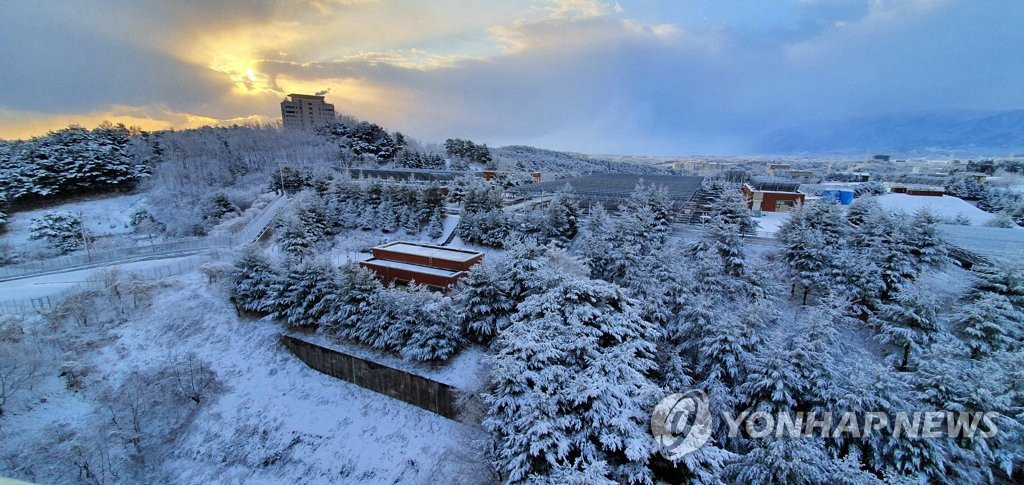 江原道江陵市弘濟洞一帶，雪也下了一整夜。16日上午，這裡雪景如畫。