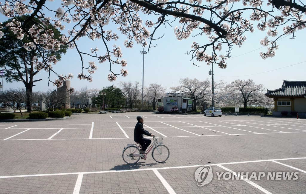 為防控新冠病毒持續擴散，江原江陵市取消了今年櫻花節，封閉了停車場，鏡浦湖周圍的停車場幾乎空無一人。