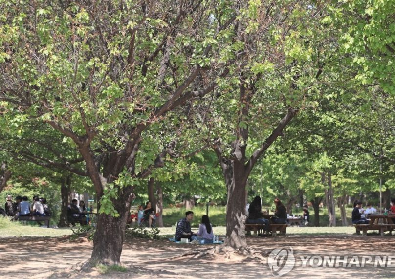 5月6日，在“首爾林”公園，附近居民坐在草坪、椅子上休息。
