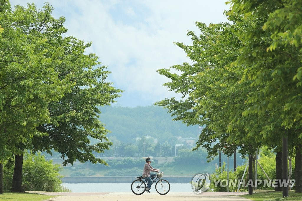 5月28日下午，一市民在首爾麻浦區漢江公園騎車穿行。