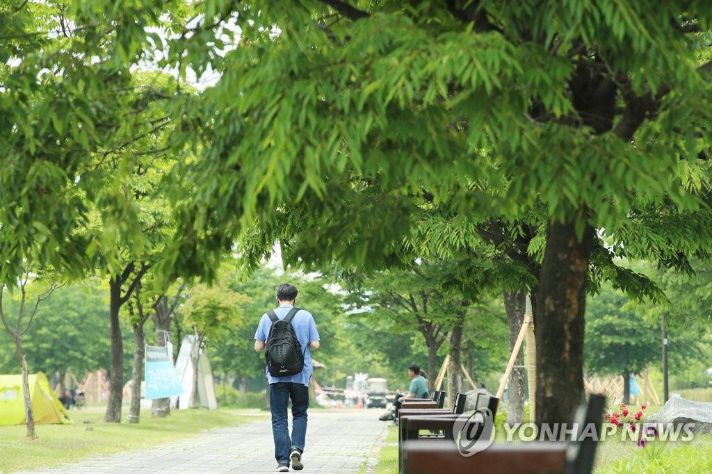 5月28日下午，市民在首爾麻浦區漢江公園散步。
