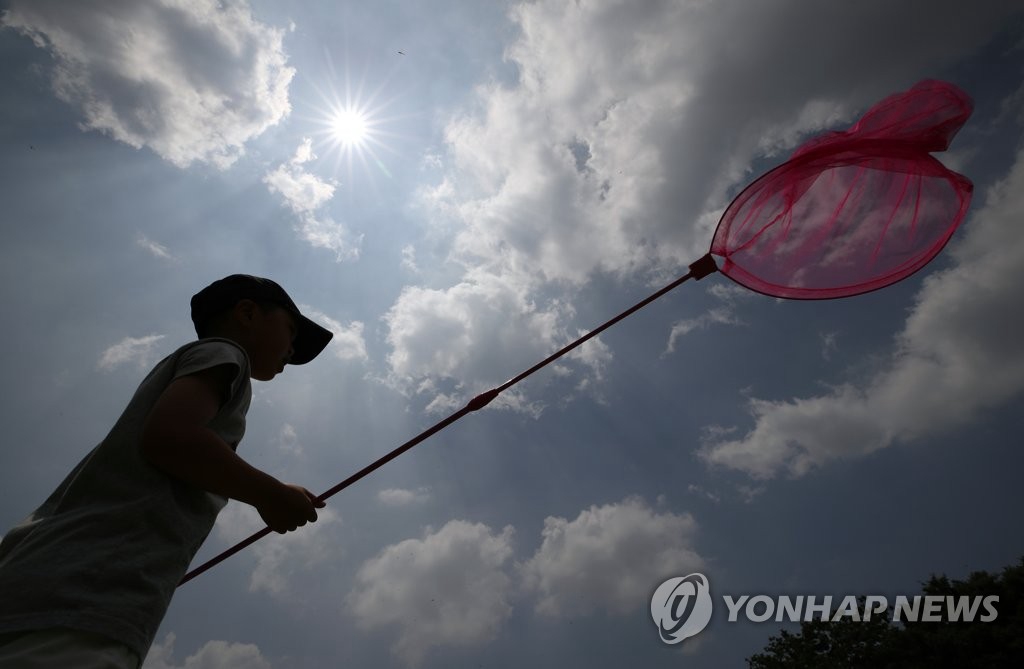 6月28日下午，在首爾市城東區首爾林，一位男童正在捕蜻蜓。