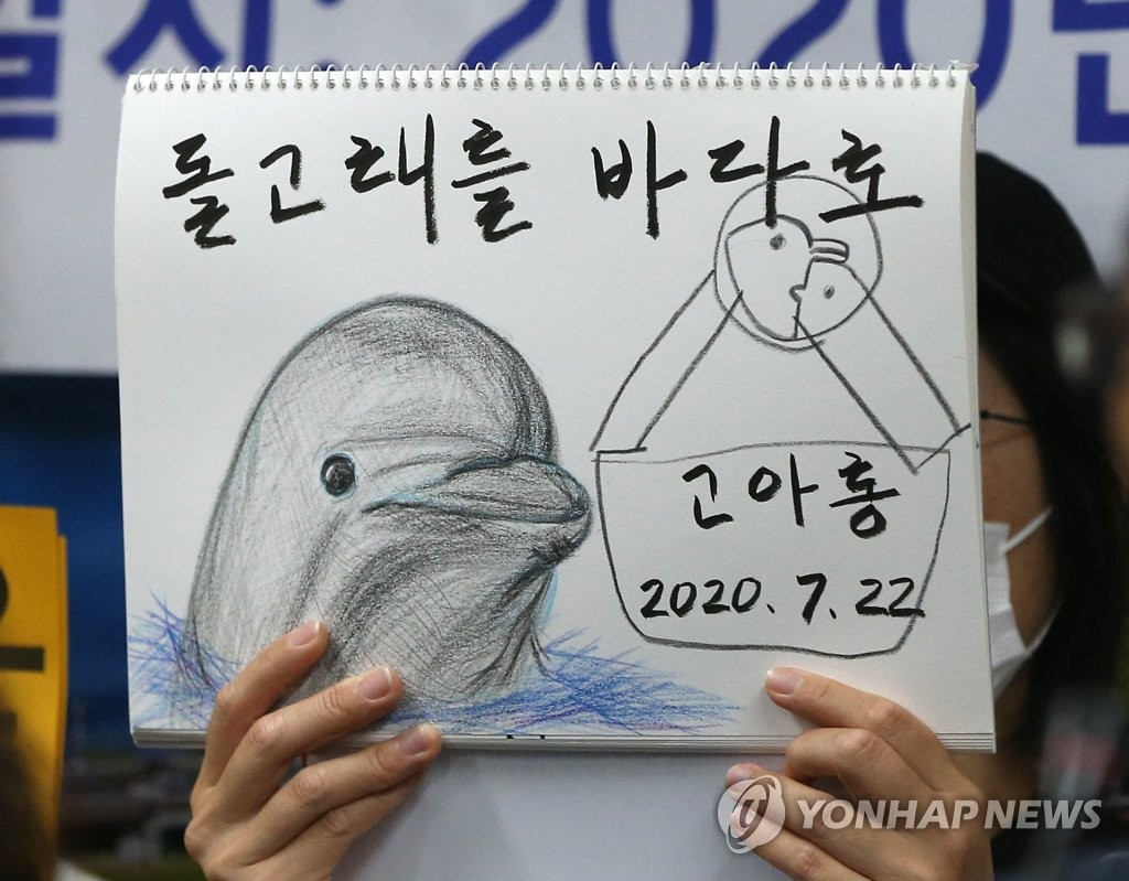 韓國18歲海豚鯨魚館內死亡 動保組織呼吁放生剩余海豚