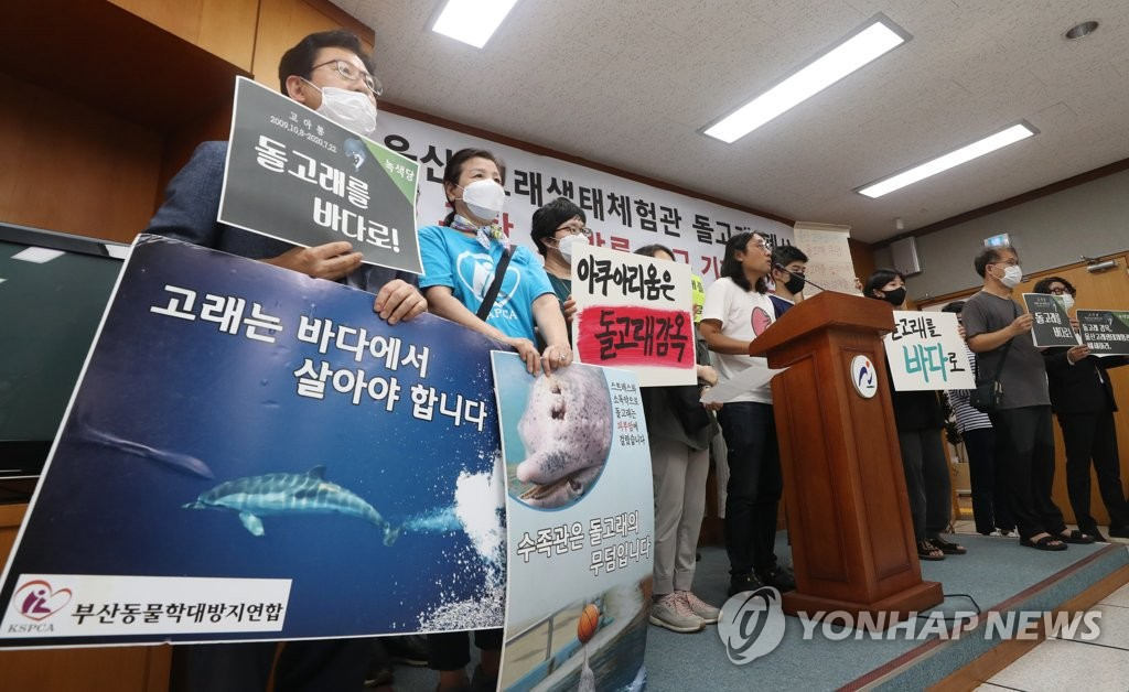 韓國18歲海豚鯨魚館內死亡 動保組織呼吁放生剩余海豚【7】