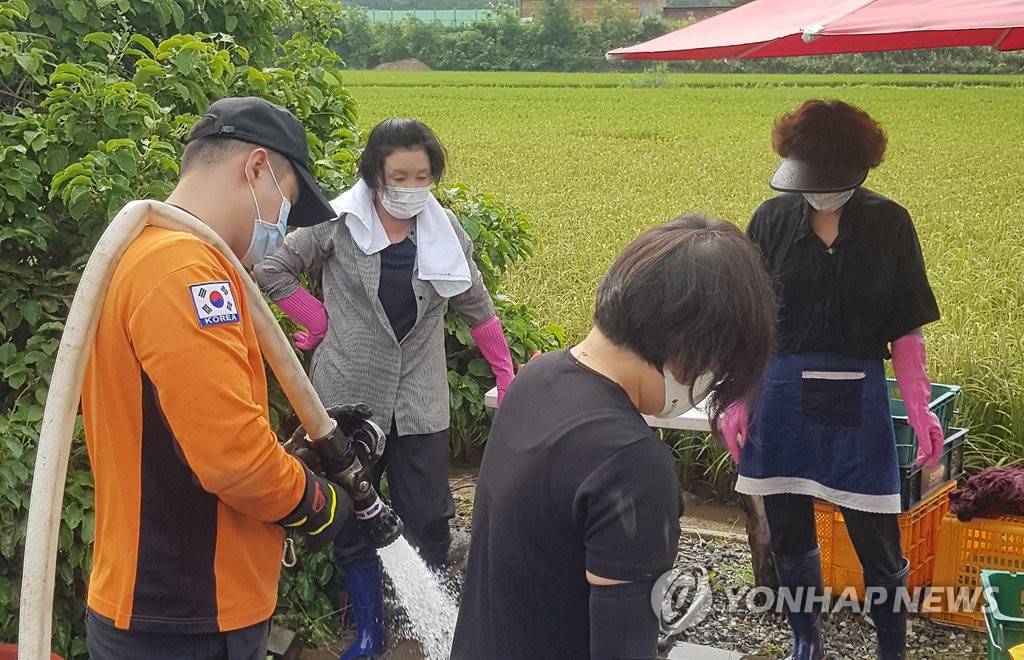 12日，在江原道铁原郡二吉里村庄，金正淑女士正在参与灾后重建志愿服务工作。