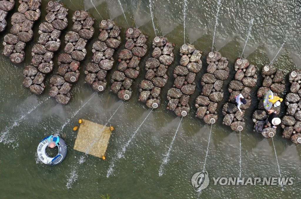 8月17日下午，在慶尚北道清道郡雲門水庫，游客們正在戲水納涼。