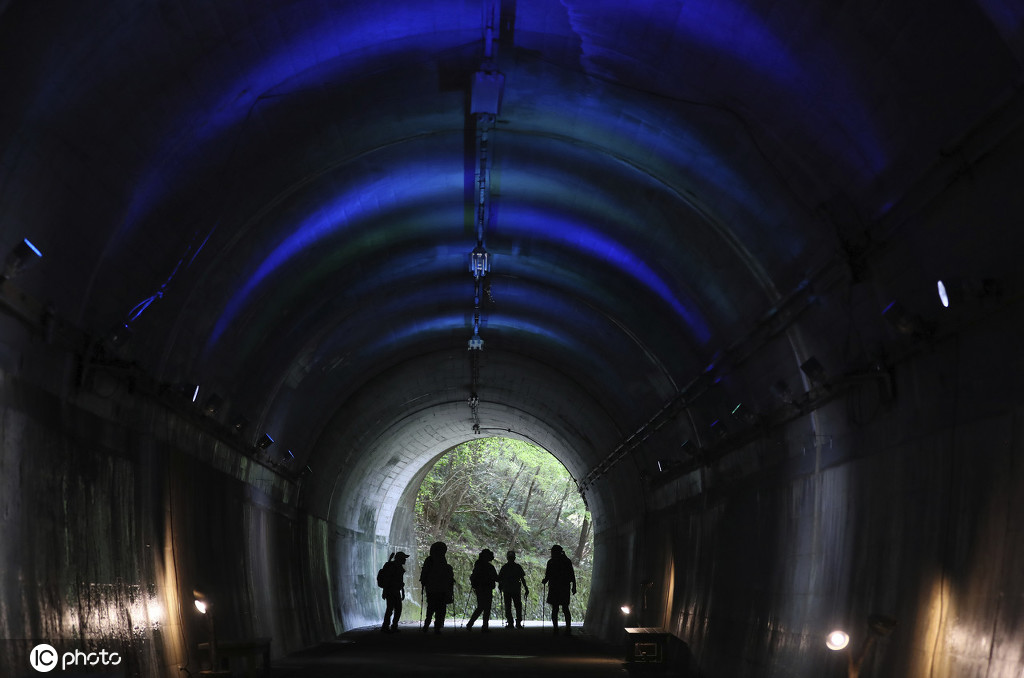 日本神戶市立森林植物園現“藍色隧道”