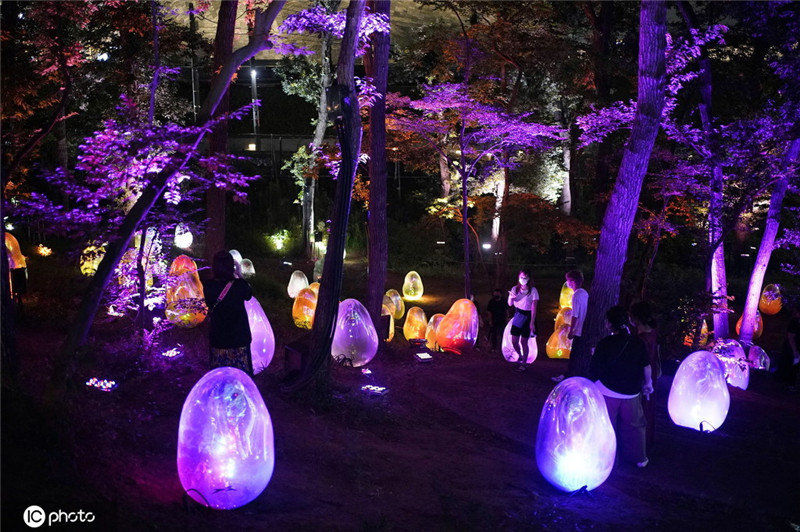 日本舉行“橡子森林的共鳴生活”藝術展 光影世界美輪美奐