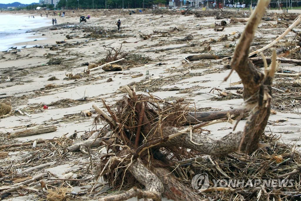 8日，韓國江原道的洛山海邊一片狼藉，儼然一個巨大的垃圾場。