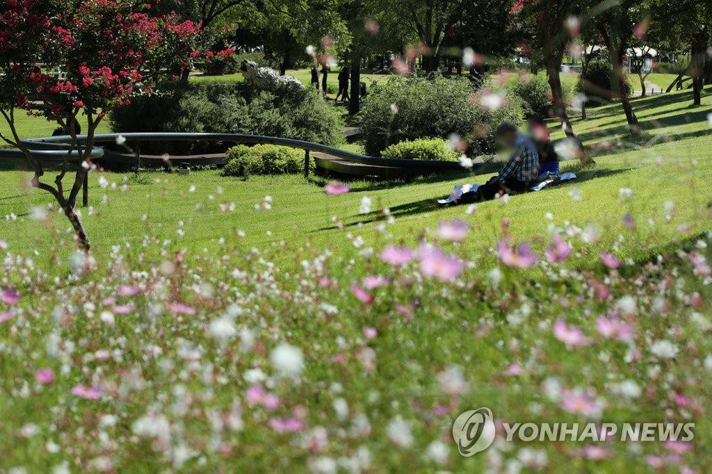 13日，市民在首爾市汝矣島漢江公園中休息。