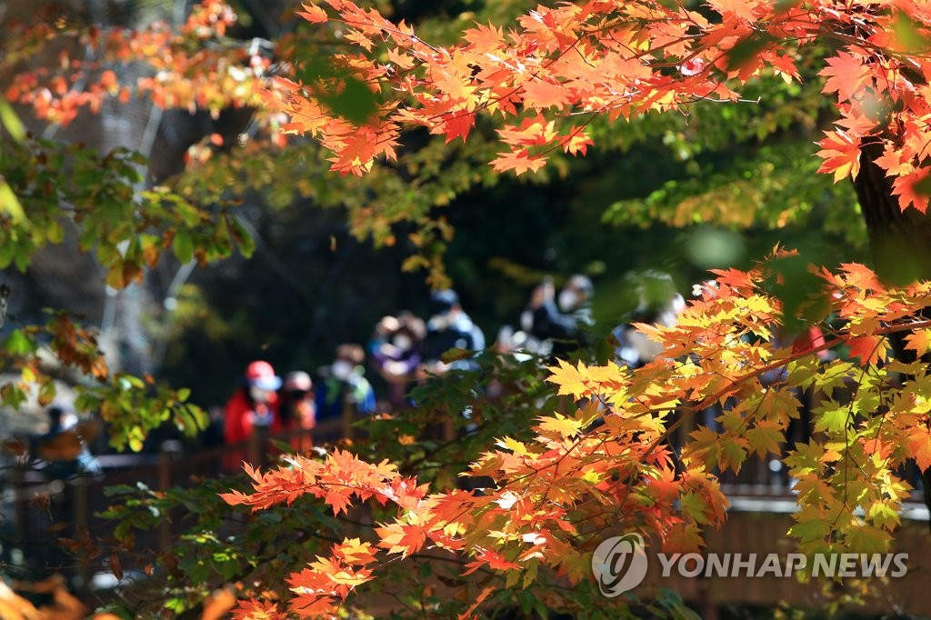 10月17日，韓國知名旅游景點雪岳山迎來賞楓佳季，吸引大批游客登山賞景。