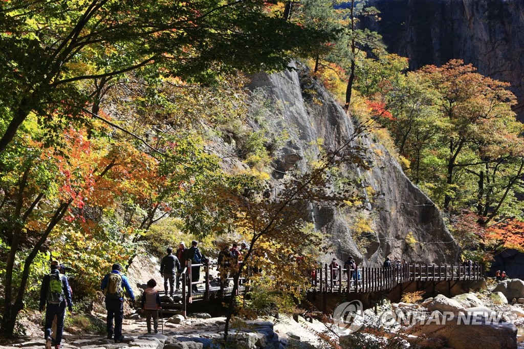 10月17日，韓國知名旅游景點雪岳山迎來賞楓佳季，吸引大批游客登山賞景。
