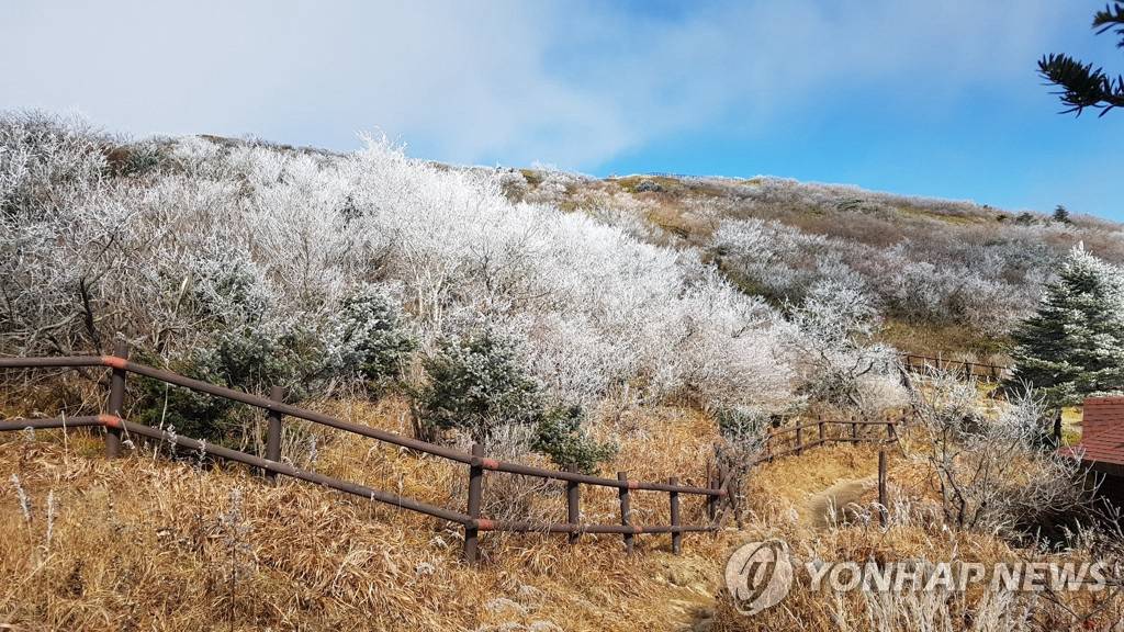 韓國德裕山國立公園：霧凇景色宛如仙境
