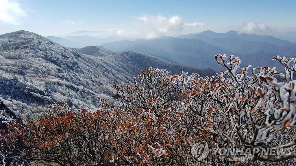 韓國德裕山國立公園：霧凇景色宛如仙境【6】