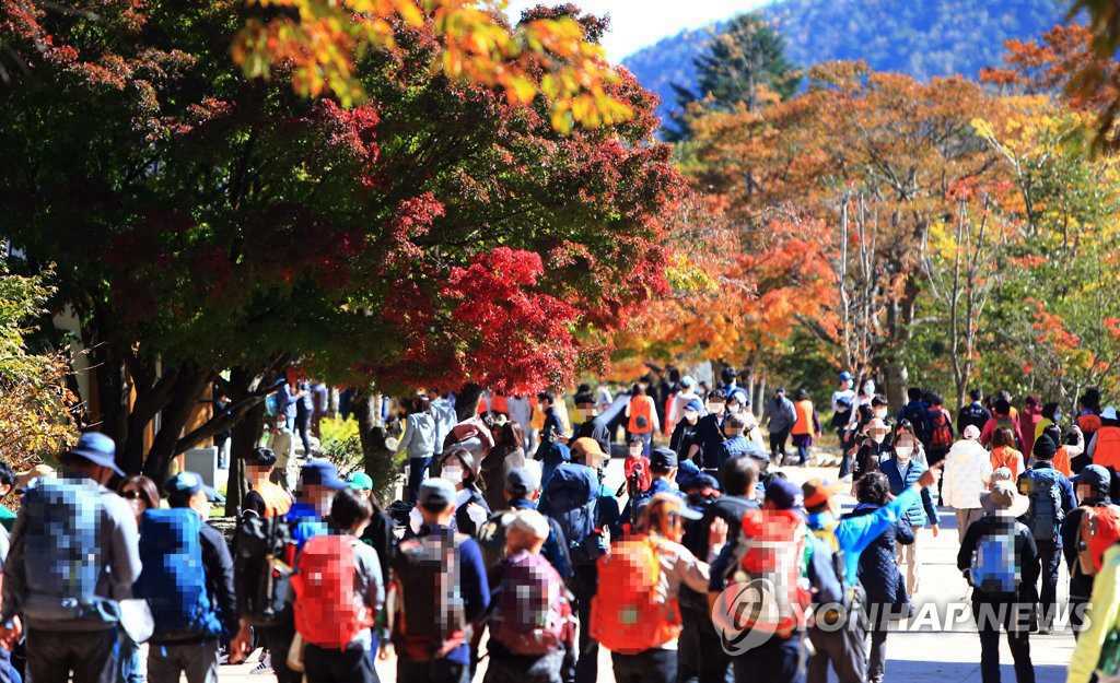 25日，雪岳山的小公園裡擠滿了前來觀賞楓葉的游客。