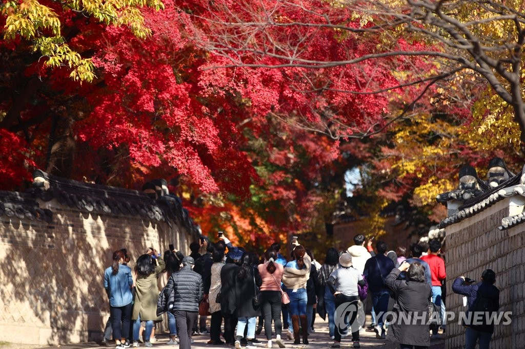 首爾鐘路區昌德宮內，市民們紛紛拿出相機記錄著秋日楓紅似火的獨家景色。