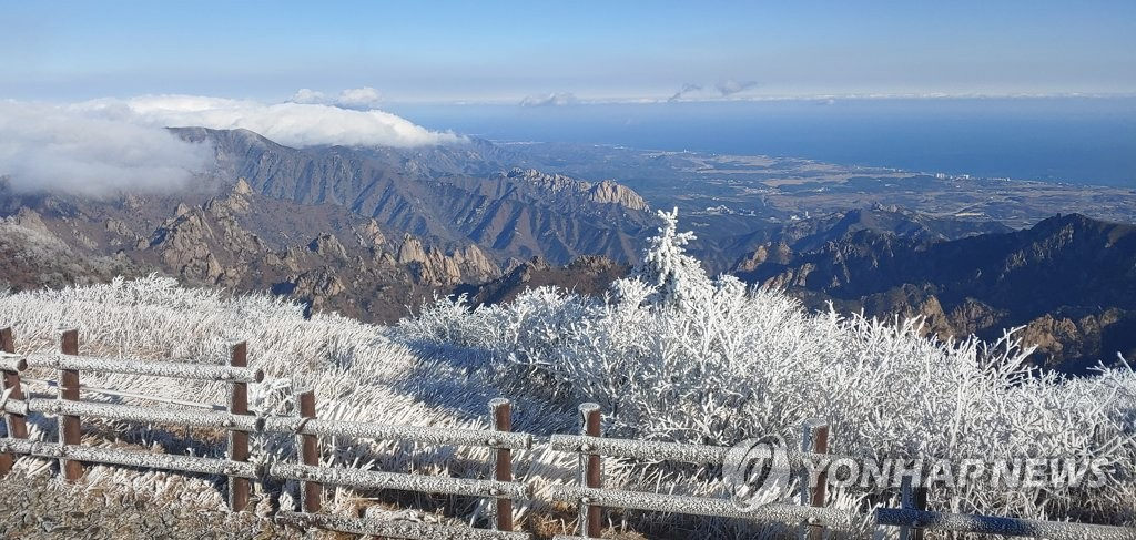 20日，韓國雪岳山現絕美霧凇，“樹樹凇花雲疊”宛若置身冰雪世界。