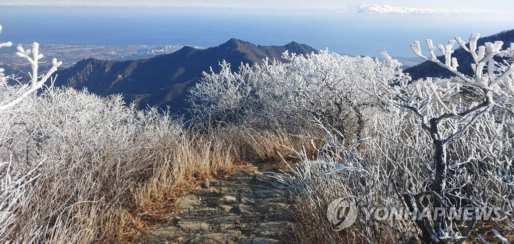 20日，韓國雪岳山現絕美霧凇。放眼望去，莽莽林海凝霜挂雪，宛如仙境。