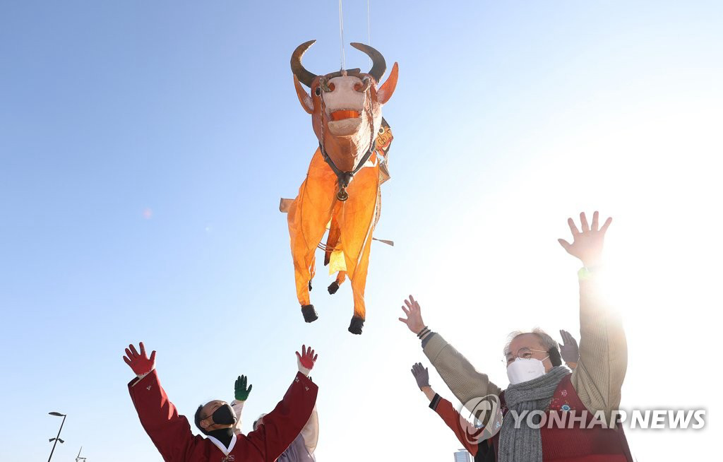 韓國民眾放飛大型黃牛風箏 祈願祛除新冠疫情